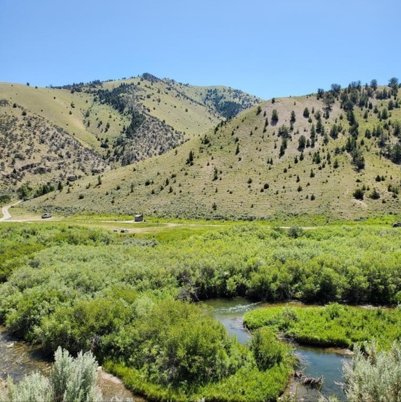 Meet your Posher, Blair Ann - Picture 5 of 7